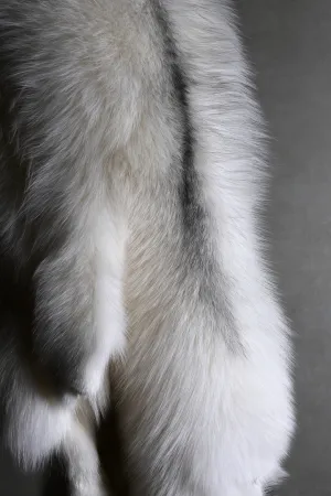 ARCTIC MARBLE FOX
