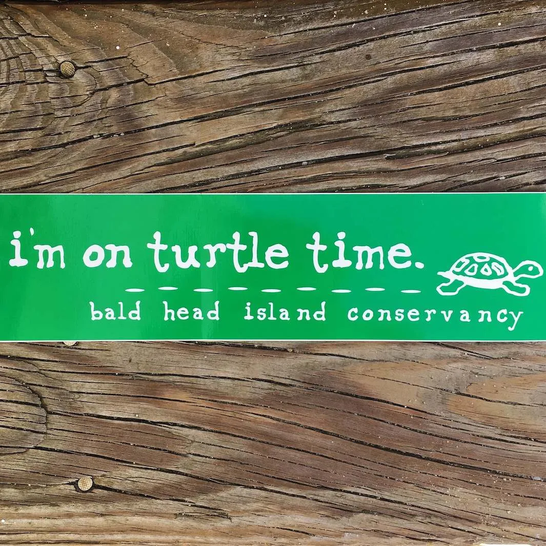 BHI Conservancy Turtle Time Sticker