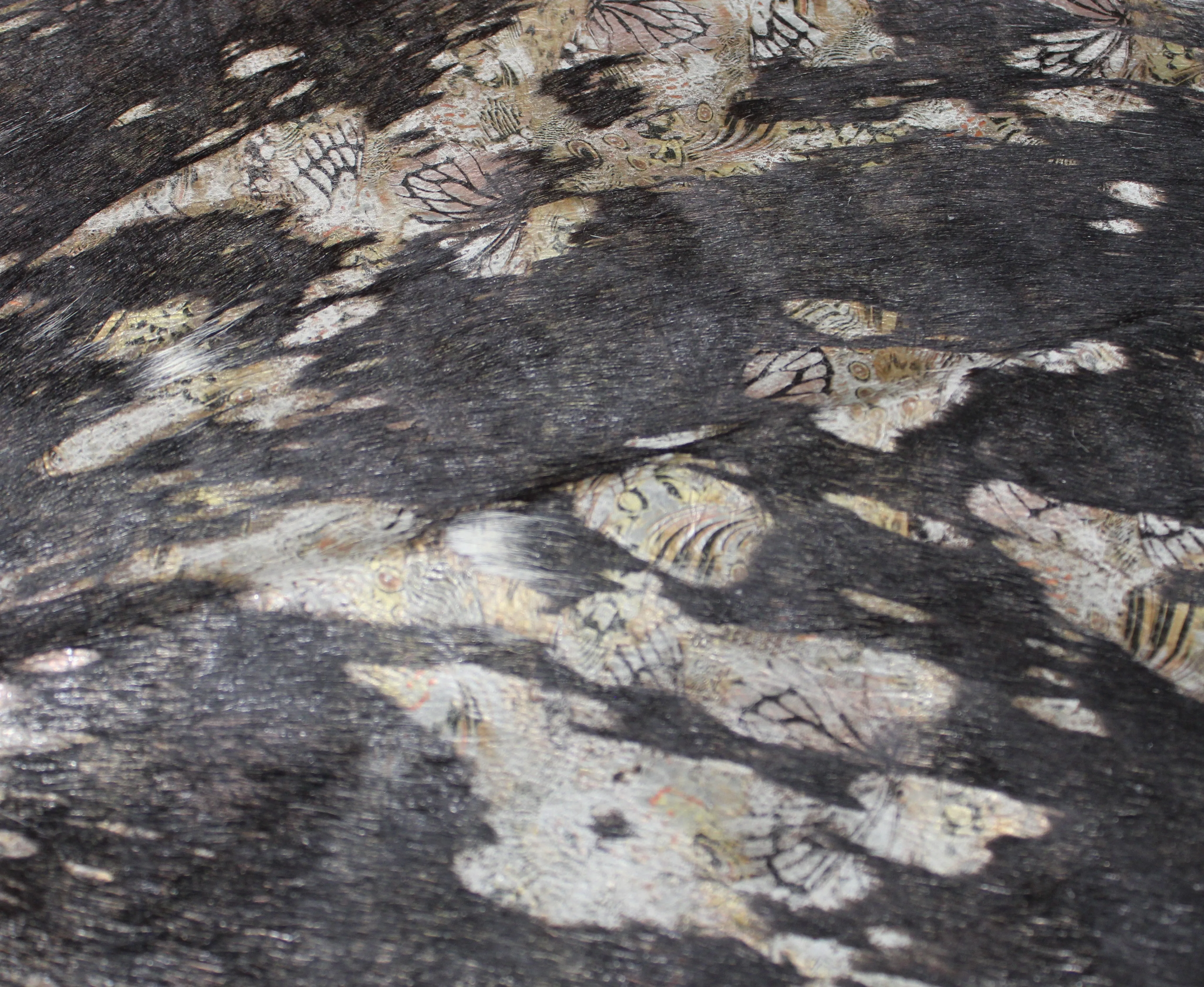 Butterfly Print  on   Dark Brown   COWHIDE -90x86 INCHES - Premium Cowhide Leather