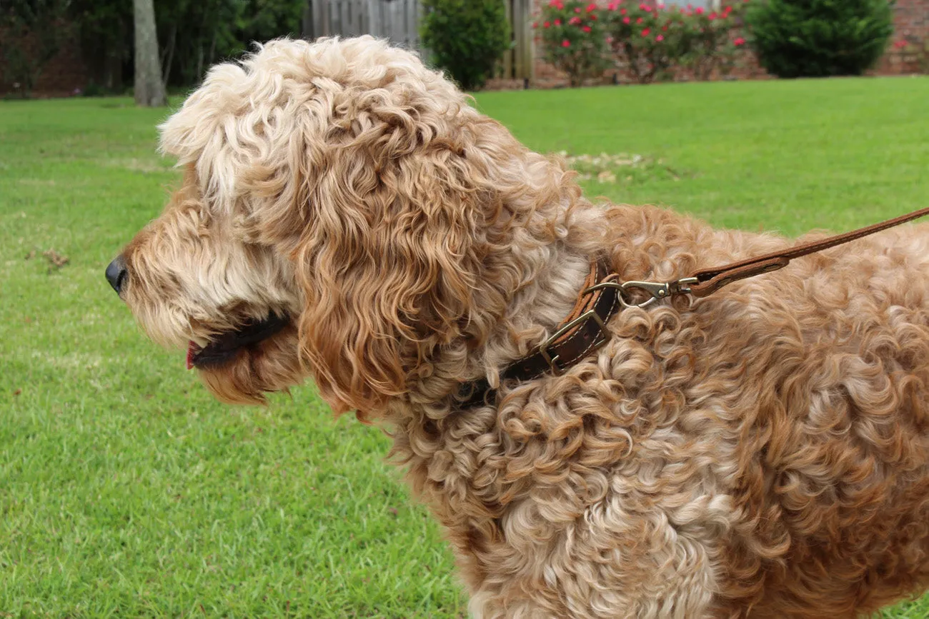 Griff Leather Dog Collar