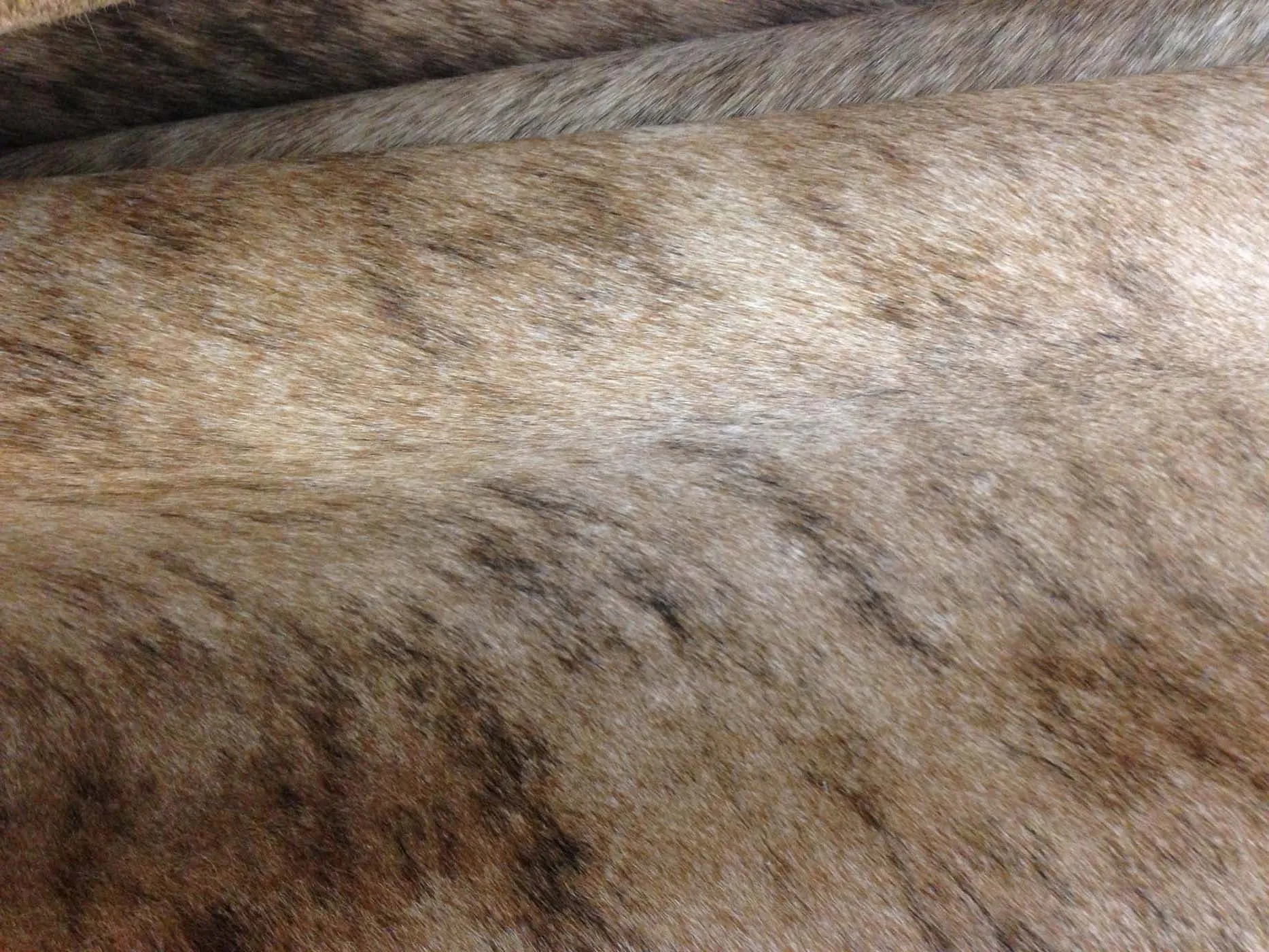 Light Tan Brindle Cowhide Rug - L