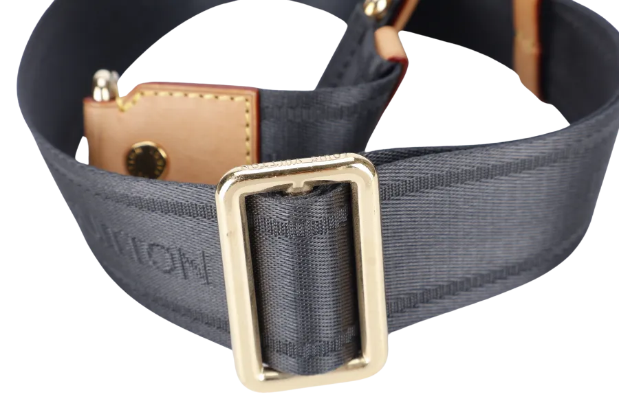 LOUIS VUITTON LIMITED EDITION CHECHE GYPSY BOHEMIAN BAG MONOGRAM BLUE ROUGE SILVER HARDWARE
