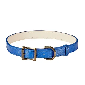 MEDIUM LEATHER DOG COLOR - BLUE