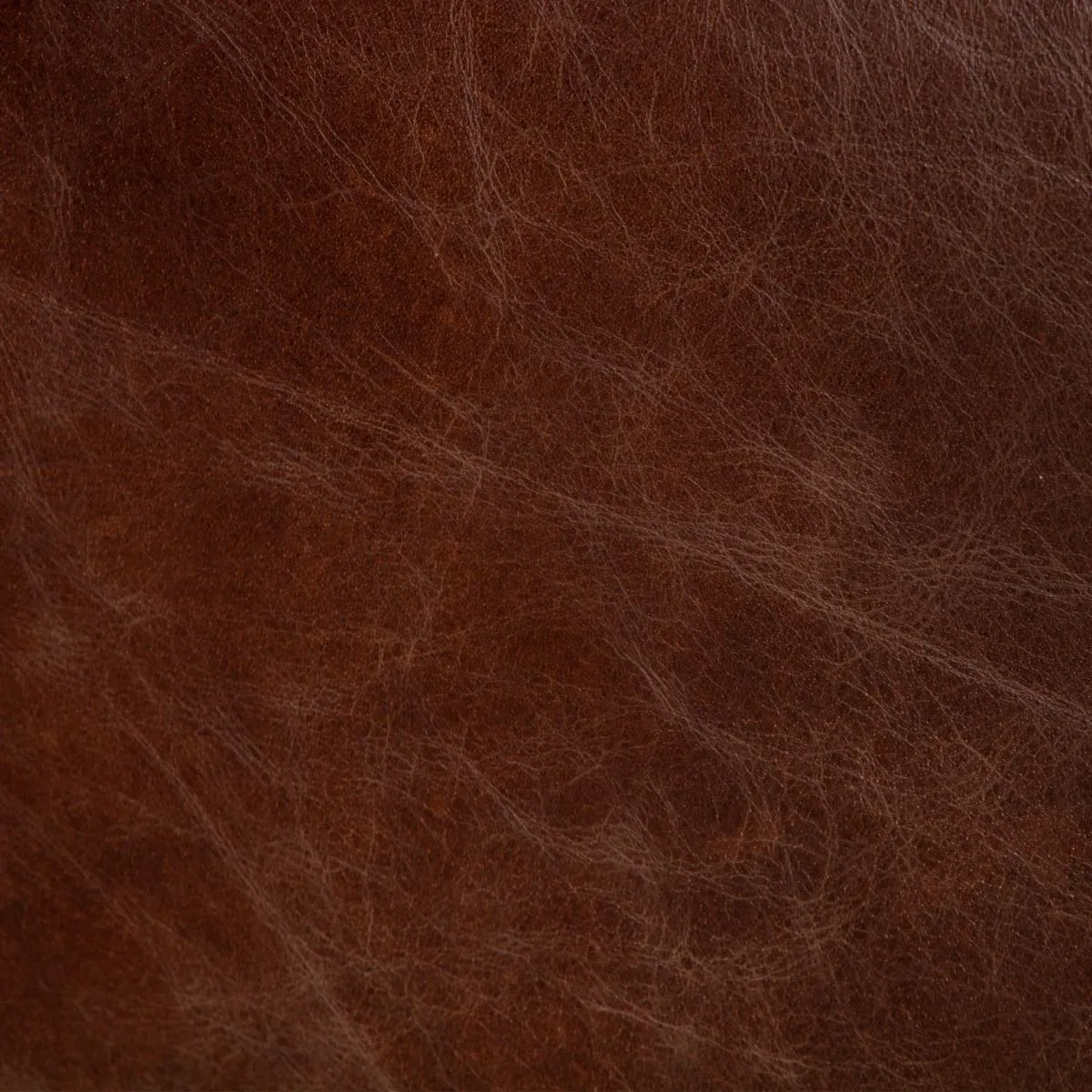 Nisky Leather Dining Chair - Geisha Brown