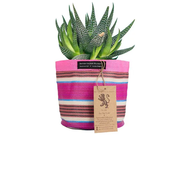 Plant Pot Holder Recycled - Small, 15cm x 15 cm