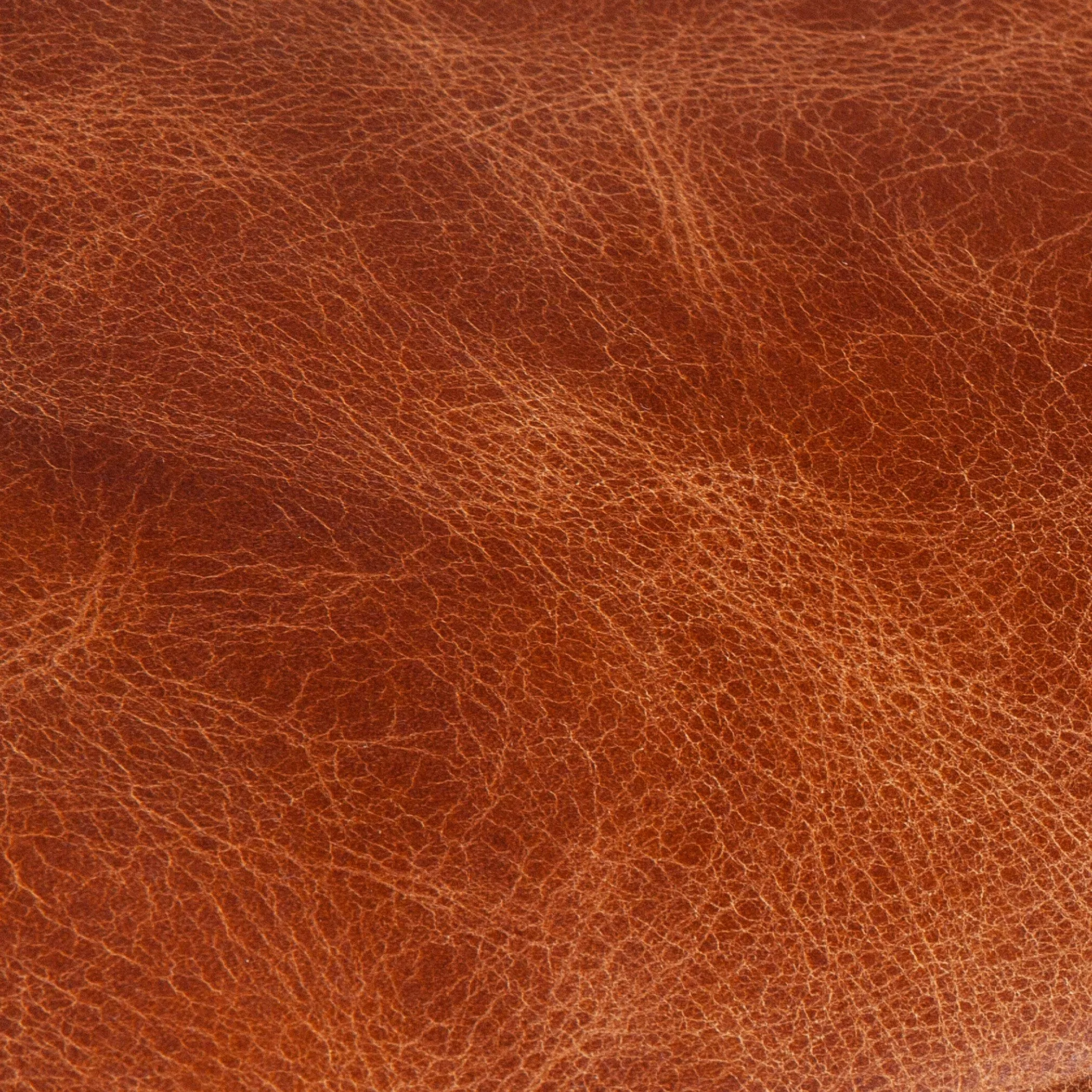 Portofino Modern Leather Arm Chair, Cocoa Brown